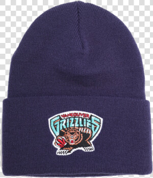 Mitchell And Ness Hardwood Classic Logo Knit Beanie   Vancouver Grizzlies Snapback  HD Png Download