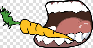 Carrot  Bite  Mouth  Teeth  Vegetable   Cartoon Mouth  HD Png Download