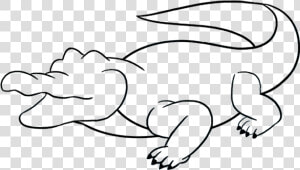 How To Draw Alligator   Drawing Of A Alligator  HD Png Download