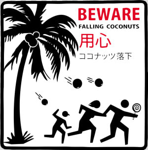 Beware Of Falling Coconuts Sign  HD Png Download