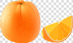 Orange Transparent Png Clip Art Image   Seedless Fruit  Png Download