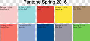 Pantone Png  Transparent Png