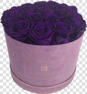 Purple Long Lasting Roses In A Medium Round Suede Box   Garden Roses  HD Png Download