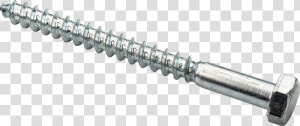 Screw Png Image   Screw Transparent Background  Png Download