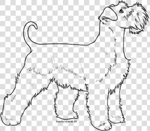 Miniature Schnauzer Line Drawing  HD Png Download