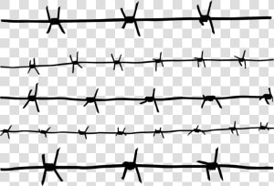 Line fence barbed Wire wire Fencing parallel   Easy To Draw Barbed Wire  HD Png Download