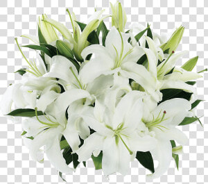 Tight Bouquet Of Lilies   White Lily Flower  HD Png Download