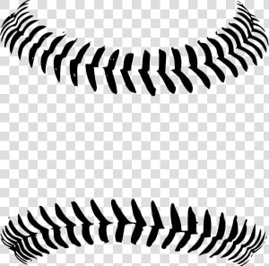 Baseball Black And White Baseball Clipart Black And   Black And White Baseball Laces  HD Png Download