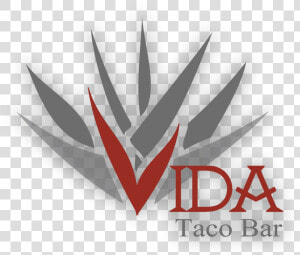 Vida Taco Bar Logo  HD Png Download