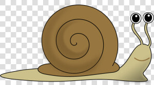 Snail  Eyes  Funny  Animal   Snail Clipart  HD Png Download