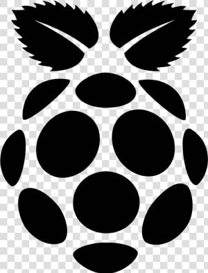 Raspberry Pi Filled Icon   Raspberry Pi Logo Png  Transparent Png