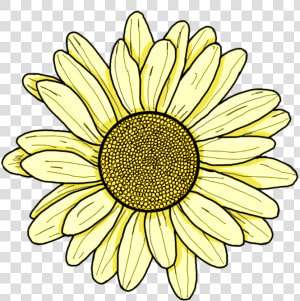  yellow  flower  daisy  sunflower  sping  summer  pretty   Aesthetic Yellow Flower Drawing  HD Png Download