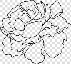 Sign Up To Join The Conversation   Flower Line Art Png Peony  Transparent Png