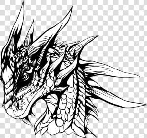 Lime Drawing Pencil For Free Download   Pencil Sketch Dragon  HD Png Download