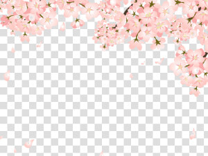 Falling Cherry Blossom Png   عقد قران للتصميم سناب  Transparent Png