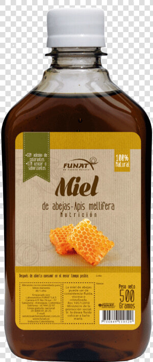 Miel Funat  HD Png Download