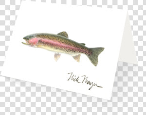 Rainbow Trout   Trout  HD Png Download