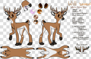 Transparent Whitetail Deer Clipart   Cartoon  HD Png Download