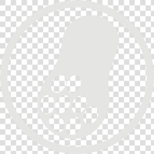 Peanut Allergy Grey Icon   Peanut Allergy Png White Icon  Transparent Png