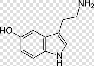 Serotonin Molecule  HD Png Download