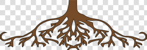 Transparent Tree Roots Clipart   Roots Clipart  HD Png Download