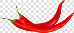 Green Clipart Chilli Pepper   Transparent Background Red Chilli Png  Png Download