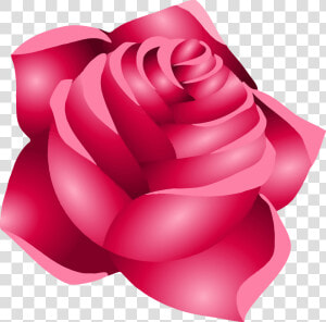 Transparent Rose Graphic Png   Imagens Png Rosas  Png Download