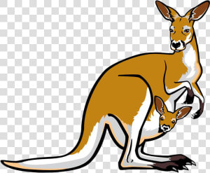 Red Kangaroo Pouch Illustration   Transparent Background Kangaroo Cartoon  HD Png Download