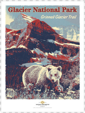 Glacier National Park Prints   Kodiak Bear  HD Png Download