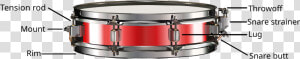 Snare Drum Diagram   Snare Drum  HD Png Download