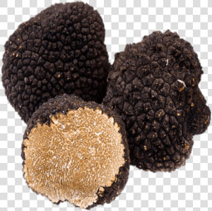 Black Truffles   Black Truffle  HD Png Download