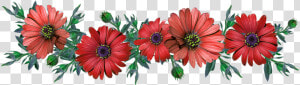  red  flower  crown  flowercrown  redcrown  redflower   Pink Daisies Png  Transparent Png