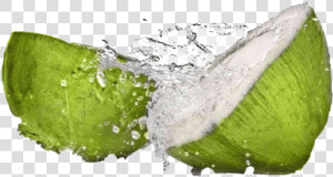 Coconut Water Splash Png Photo   Coconut Water With Ice  Transparent Png