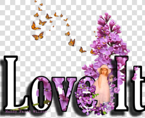 Loveit Compliments Compliment Lilac Myphoto Stickerremi   Movimiento De La Mariposa  HD Png Download