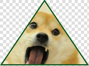  illuminati  doge  meme  memes freetoedit   Red Doge Meme  HD Png Download