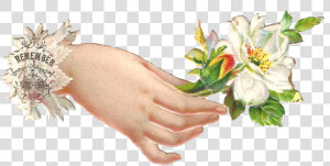 Clipart Hands Flower   Hand With Flower Clipart  HD Png Download