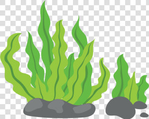 Transparent Weed Joint Png   Seaweed Png Cartoon  Png Download