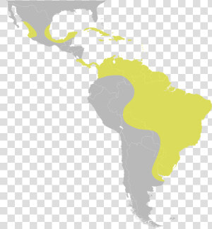 United Central Subregion States Latin America South   South America Called Latin America  HD Png Download