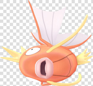 Magikarp   Magikarp Png  Transparent Png