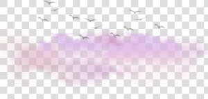 Clouds Cloud Birds Tumblr Kawaii Ftestickers   Bird Migration  HD Png Download