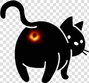  cat  kitty  feline  sihlouette  black  blackhole  funny   Black Hole Cat Meme  HD Png Download