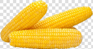 Corn Png Clipart Background   Maize  Transparent Png