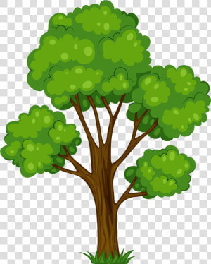 Tree Shrub Cartoon Clip Art   Clipart Of Tree  HD Png Download