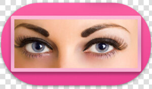 Delineado De Cejas En Chihuahua   Attractive Eyes  HD Png Download