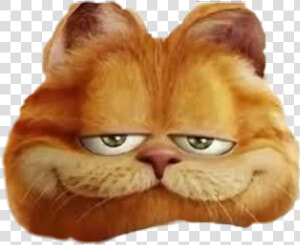  mood  dank  meme  dankmeme  memes  memethisnow  memegangcom   Garfield Movie Hd  HD Png Download