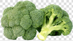 Green Broccoli Png Free Background   Broccoli Png  Transparent Png