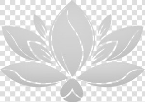 Soul Dynamite   Lotus Flower With Clear Background  HD Png Download