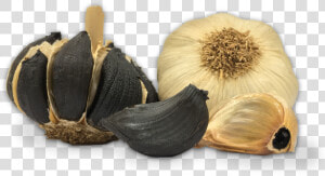 Ajo Negro Pedroñete   Black Garlic Png  Transparent Png