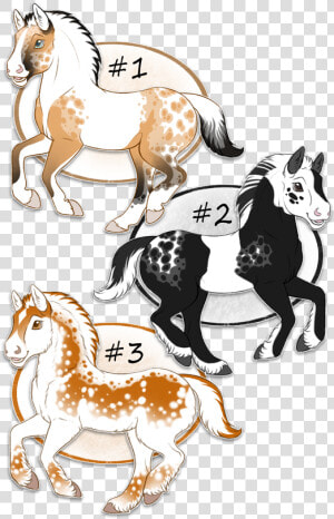 Foal Adopts  2 3 Open    Cartoon  HD Png Download