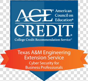 Cyber Security For Business Professionals   American Council On Education  HD Png Download